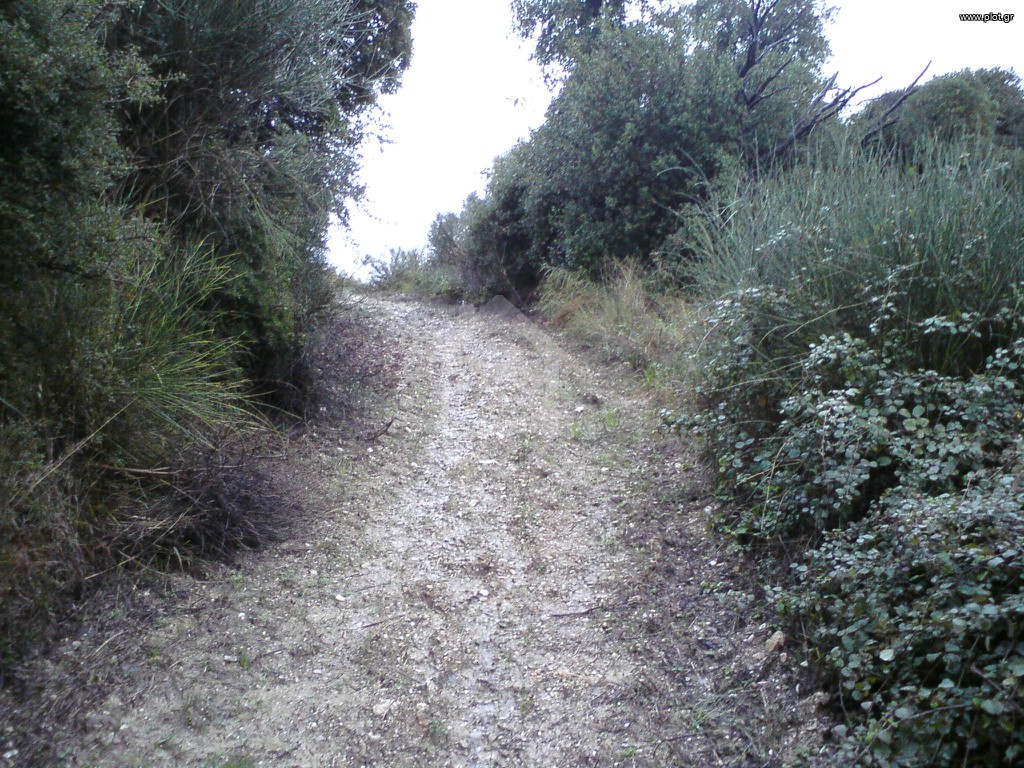 Αγροτεμάχια 7.500 τ.μ. προς πώληση, Άνω Κουρούνι