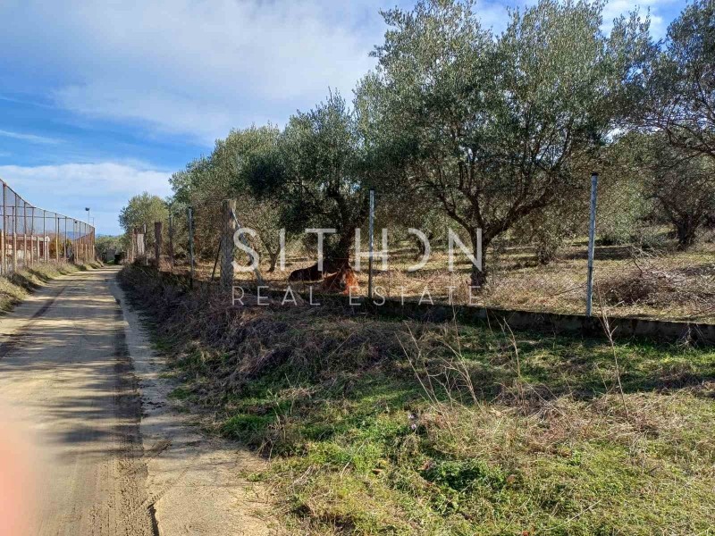 Αγροτεμάχια 6.970 τ.μ. προς πώληση, Σάρτη
