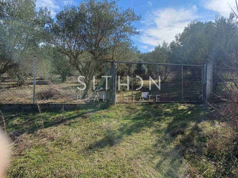 Αγροτεμάχια 6.970 τ.μ. προς πώληση, Σάρτη