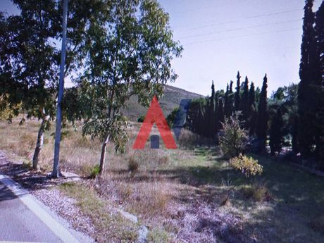 Αγροτεμάχια 5.500 τ.μ. για πώληση