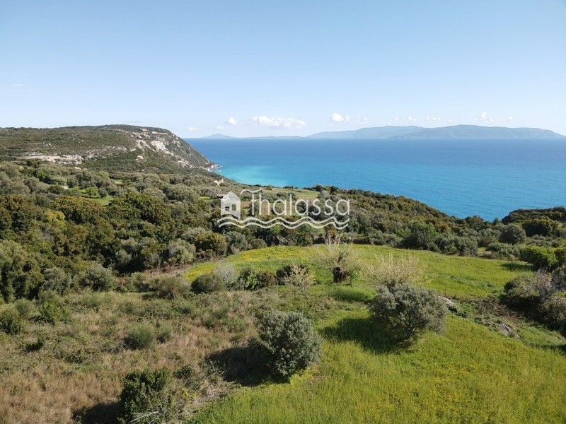 Οικόπεδο 5.577 τ.μ. προς πώληση, Ελειός - Πρόννοι