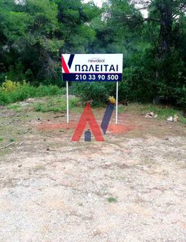 Οικόπεδο 2.300τ.μ. για πώληση-Αφίδνες » Αγία τριάδα