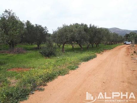 Land plot 7.772sqm for sale-Voion » Agios Georgios