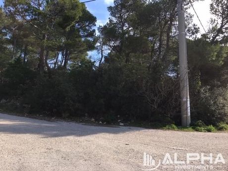 Land plot 1.049sqm for sale-Afidnes » Agia Triada
