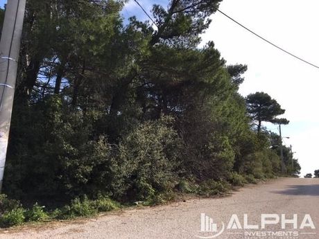 Land plot 1.049sqm for sale-Afidnes » Agia Triada