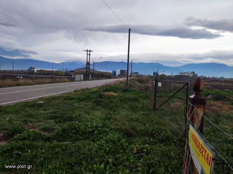 Land plot 4.000 sqm for sale