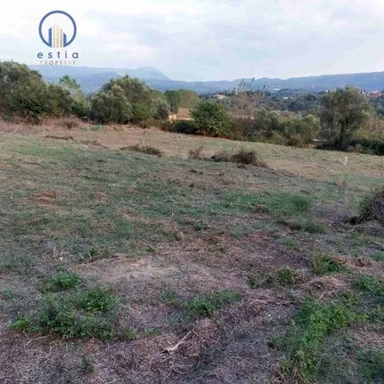 Parcel 4.800 sqm for sale, Corfu Prefecture, Corfu