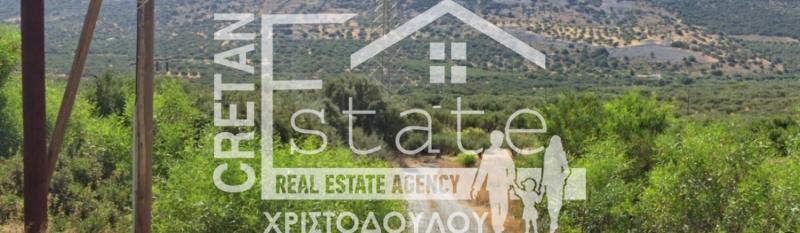 Αγροτεμάχια 3.933 τ.μ. πρός πώληση, Ν. Λασιθίου, Ιεράπετρα