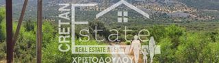 Αγροτεμάχια 3.933 τ.μ. για πώληση
