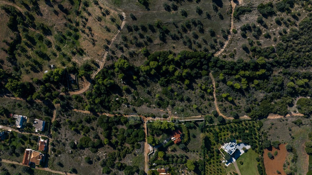 Αγροτεμάχια 29.862 τ.μ. πρός ενοικίαση, Αργολίδα, Κρανίδι