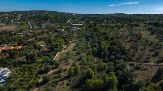 Αγροτεμάχια 29.862 τ.μ. για ενοικίαση, Αργολίδα, Κρανίδι-thumb-20