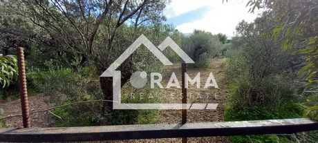 Land plot 125sqm for sale-Patra » Agyia