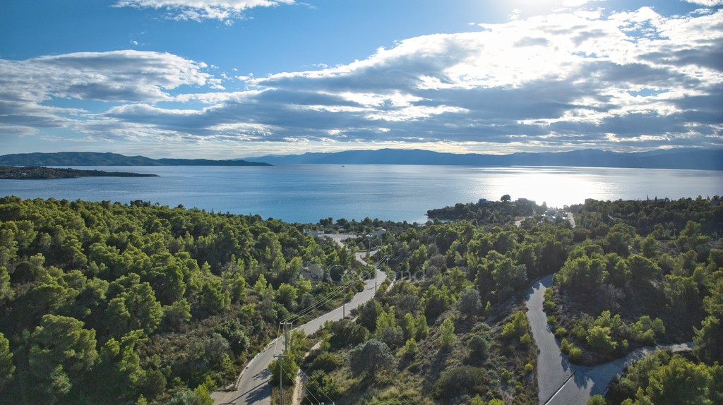 Οικόπεδο 818 τ.μ. προς πώληση, Βερβερούδα