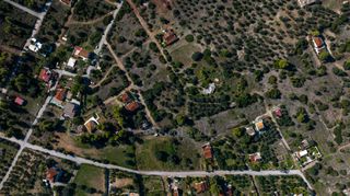 Αγροτεμάχια 4.272 τ.μ. για πώληση