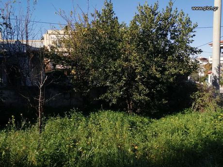 Οικόπεδο 265τ.μ. για πώληση-Αγία παρασκευή » Πευκάκια