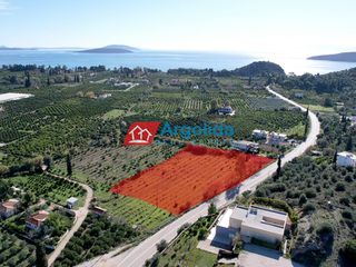 Αγροτεμάχια 6.000 τ.μ. για πώληση