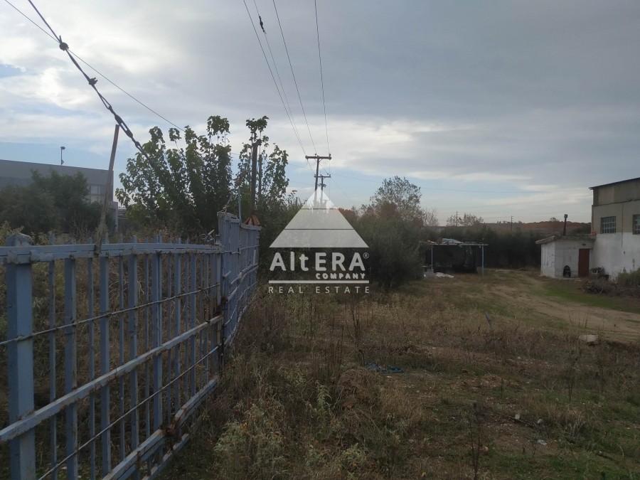 Αγροτεμάχια 8.080 τ.μ. προς πώληση, Σίνδος