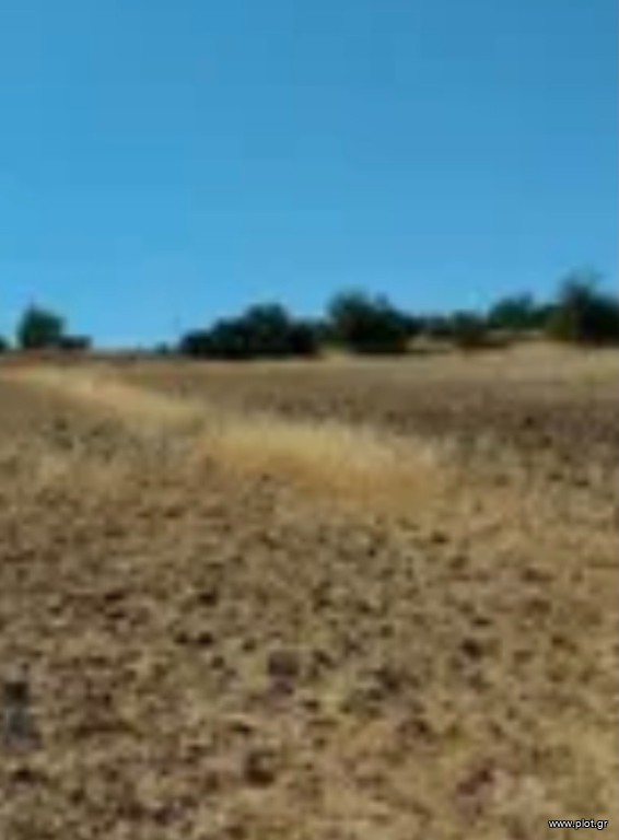 Οικόπεδο 16.200 τ.μ. προς πώληση, Κυκλάδες, Μύκονος