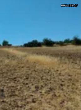 Οικόπεδο 16.200τ.μ. για πώληση-Μύκονος » Ορνός