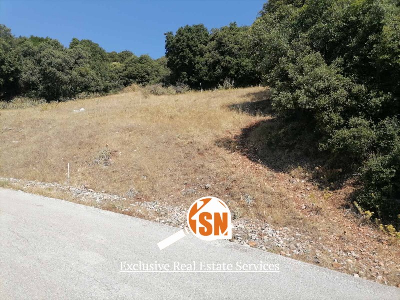 Οικόπεδο 610 τ.μ. προς πώληση, Πουρναρόκαστρο