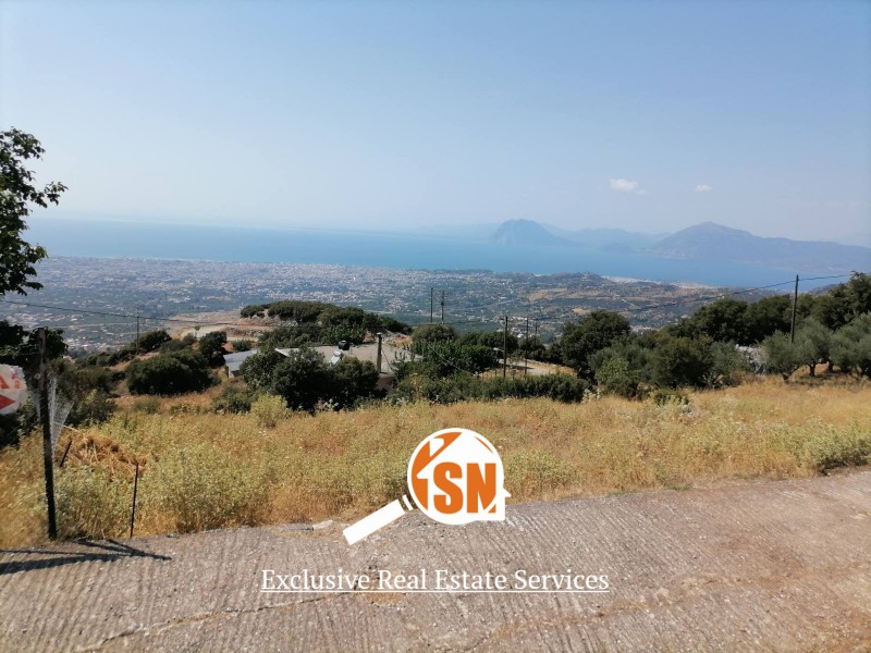Οικόπεδο 610 τ.μ. προς πώληση, Πουρναρόκαστρο