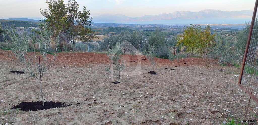 Οικόπεδο 795 τ.μ. προς πώληση, Στιμάγκα
