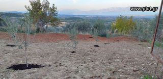 Οικόπεδο 795 τ.μ. για πώληση, Κορινθία, Βέλο-thumb-1