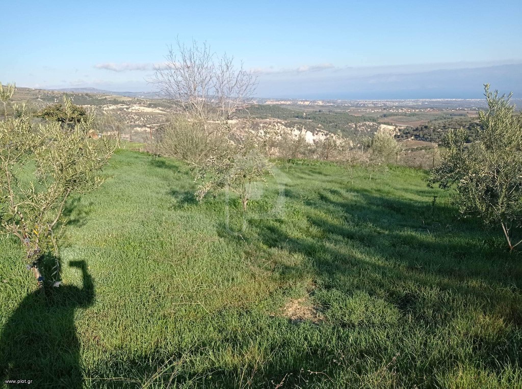 Οικόπεδο 795 τ.μ. προς πώληση, Στιμάγκα