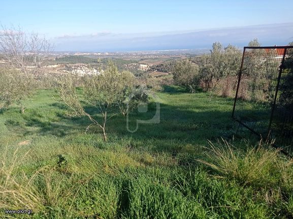 Οικόπεδο 795 τ.μ. για πώληση, Κορινθία, Βέλο