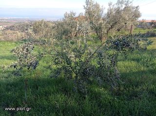 Οικόπεδο 795 τ.μ. για πώληση, Κορινθία, Βέλο-thumb-14