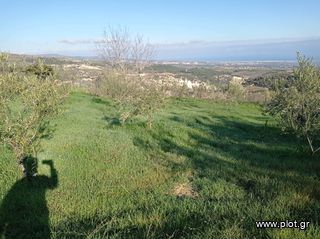 Οικόπεδο 795 τ.μ. για πώληση, Κορινθία, Βέλο-thumb-24