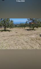 Οικόπεδο 795 τ.μ. για πώληση, Κορινθία, Βέλο-thumb-30