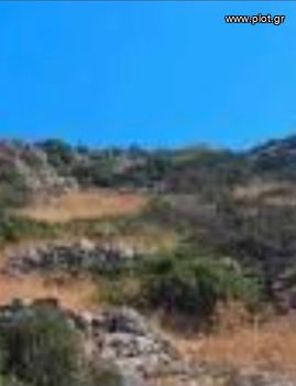 Οικόπεδο 14.200τ.μ. για πώληση-Ανάφη » Φτενά