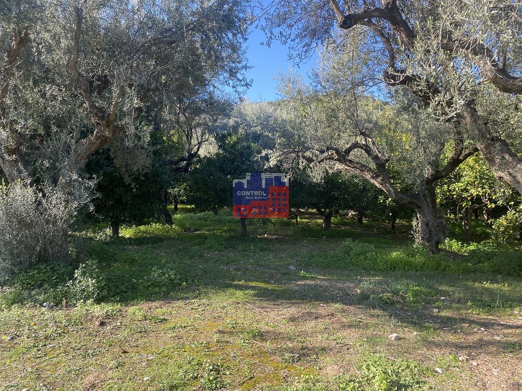 Αγροτεμάχια 15.300 τ.μ. προς πώληση, Ροδιά Διακοπτού
