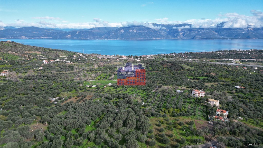Αγροτεμάχια 2.500 τ.μ. πρός πώληση, Αχαΐα, Ερίνεο