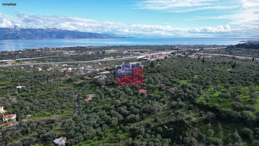 Αγροτεμάχια 2.500 τ.μ. πρός πώληση, Αχαΐα, Ερίνεο