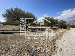 Αγροτεμάχια 5.200 τ.μ. για πώληση, Ν. Λασιθίου, Ιεράπετρα-thumb-3