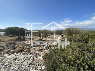 Αγροτεμάχια 5.200 τ.μ. για πώληση, Ν. Λασιθίου, Ιεράπετρα-thumb-5