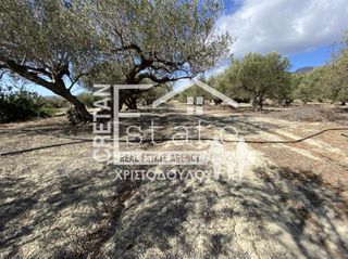 Αγροτεμάχια 5.200 τ.μ. για πώληση, Ν. Λασιθίου, Ιεράπετρα-thumb-2