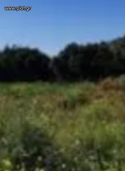 Land plot 1.570sqm for sale-Palaia Fokaia » Thimari