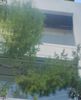 Detached home 370sqm for sale-Glyfada » Golf