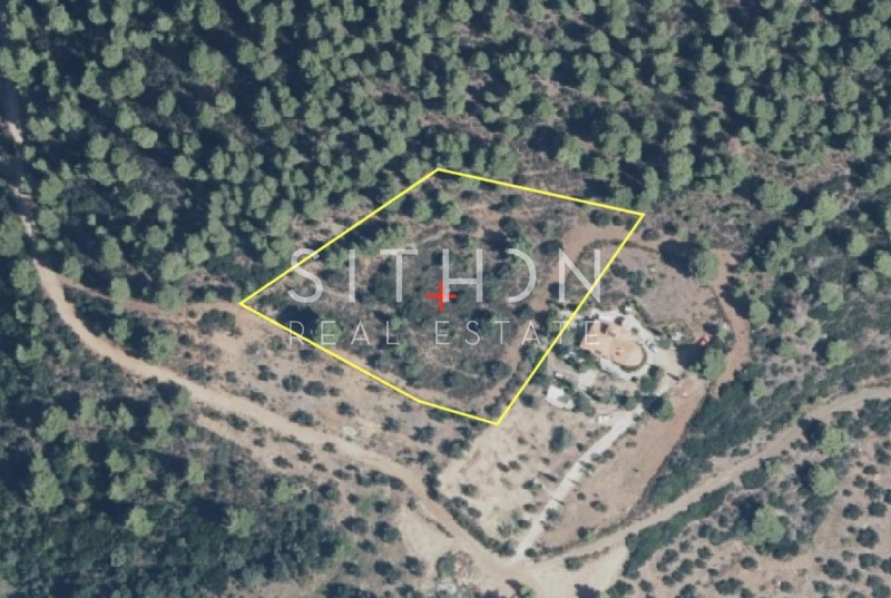 Αγροτεμάχια 4.681 τ.μ. πρός πώληση, Χαλκιδική, Σιθωνία
