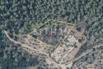 Parcel 4.681sqm for sale-Sithonia » Parthenonas