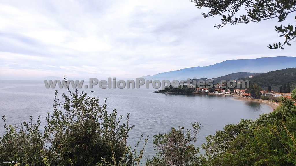 Οικόπεδο 1.459 τ.μ. πρός πώληση, Μαγνησία, Αργαλαστή