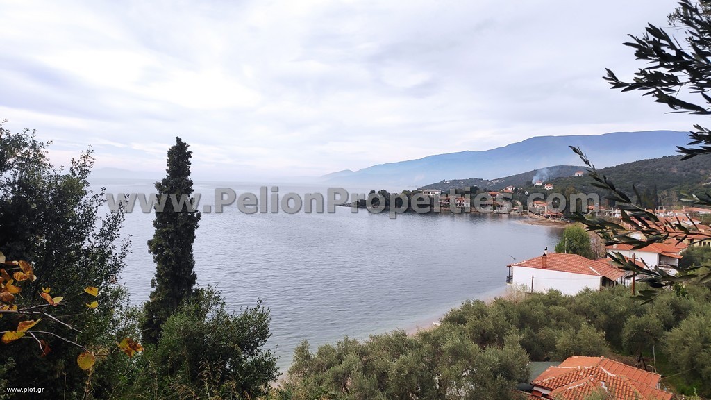 Οικόπεδο 1.459 τ.μ. πρός πώληση, Μαγνησία, Αργαλαστή