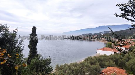 Land plot 1.459sqm for sale-Argalasti » Lefokastro