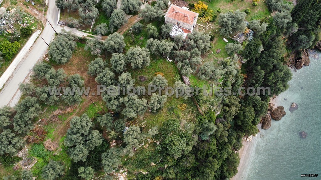 Οικόπεδο 1.459 τ.μ. πρός πώληση, Μαγνησία, Αργαλαστή
