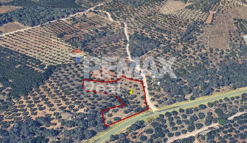 Οικόπεδο 4.100 τ.μ. προς πώληση, Κέντρο Τυλίσου