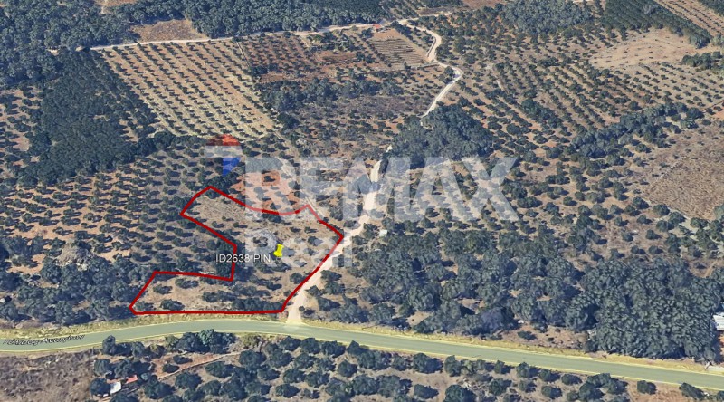 Οικόπεδο 4.100 τ.μ. προς πώληση, Κέντρο Τυλίσου