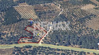 Οικόπεδο 4.100 τ.μ. προς πώληση, Κέντρο Τυλίσου-thumb-1